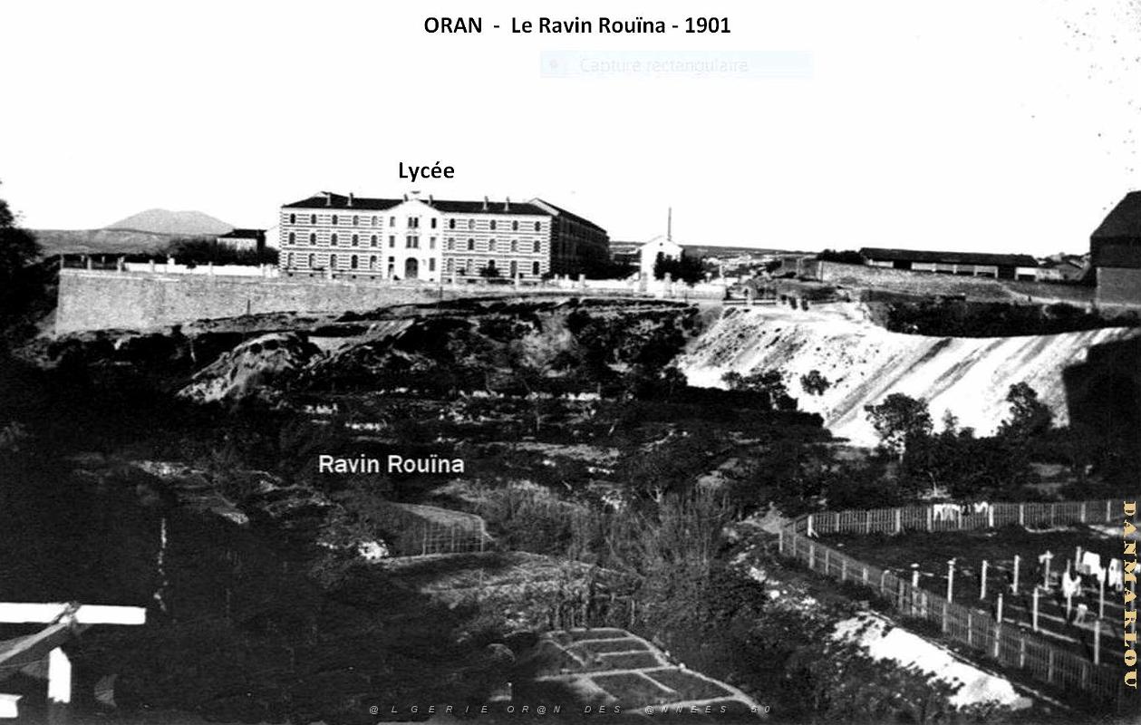 Oran - Ravin Rouina - 1901.JPG